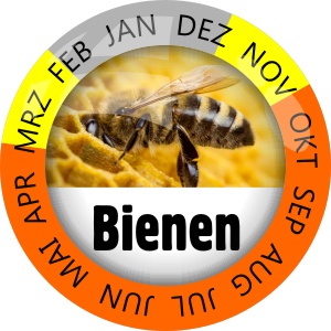 Insektenschutz Bienen
