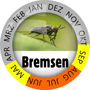 Insektenschutz Bremsen
