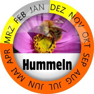 Insektenschutz Hummeln