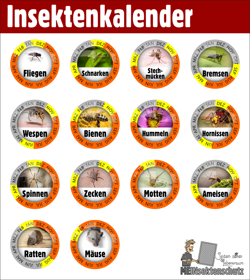 Insektenschutz Insektenkalender Kalender