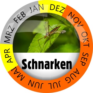 Insektenschutz Schnarken