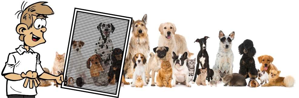 Insektenschutz Fliegengitter Hunde und Katzen Petscreen