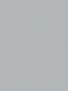 Insektenschutz Farben Fliegengitter EV1 silber eloxiert