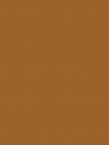 Insektenschutz Farben Fliegengitter RAL8001 Ockerbraun