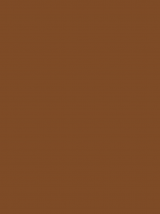 Insektenschutz Farben Fliegengitter RAL8003 Lehmbraun