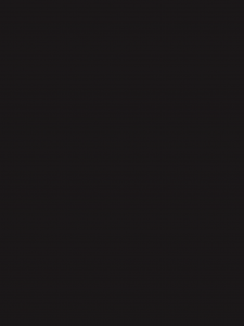 Insektenschutz Farben Fliegengitter RAL8022 Schwarzbraun