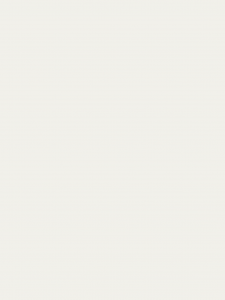 Insektenschutz Farben Fliegengitter RAL9016 Verkehrsweiss