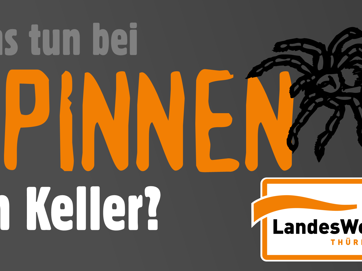 MEINsektenschutz über Spinnen im Radio Landeswelle Thüringen