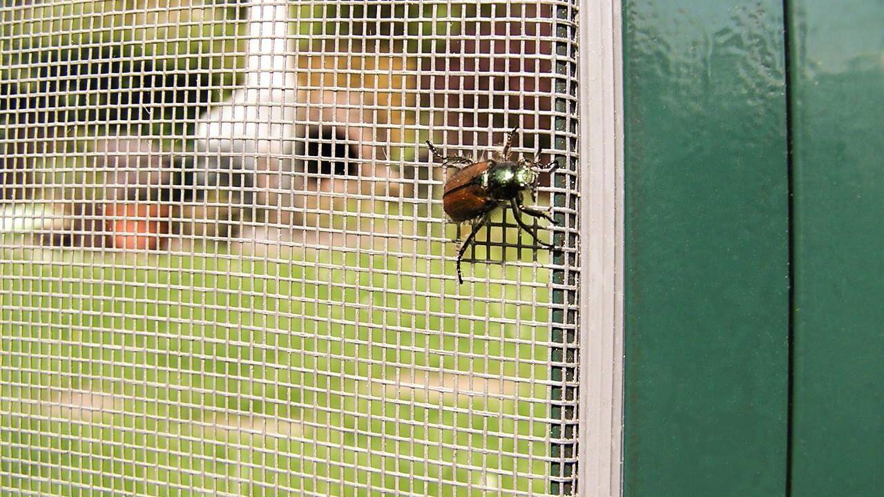 Insektenschutzgewebe Netz Gaze