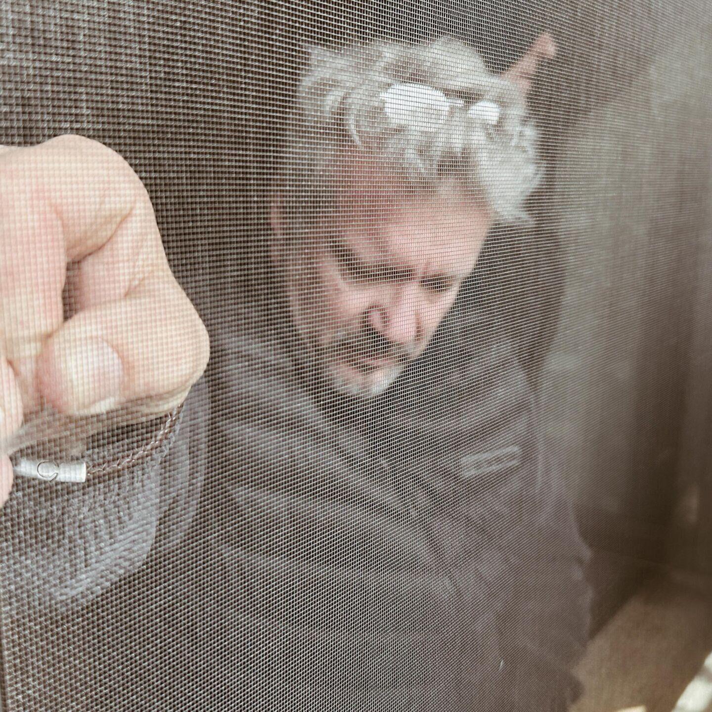 Harry Hohmann Insektenschutzprofi Koblenz, Mayen, Mendig