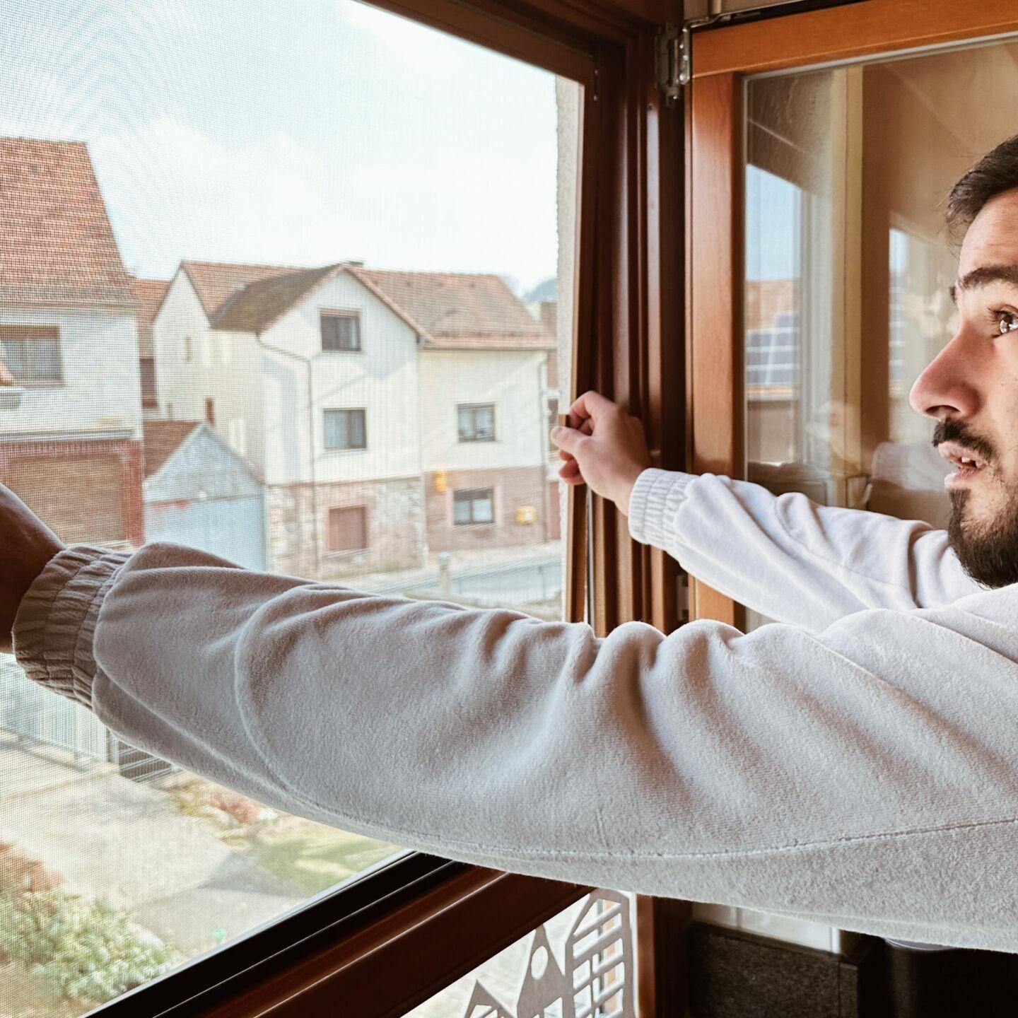 Lehat Fidanboy Insektenschutzprofi Düsseldorf