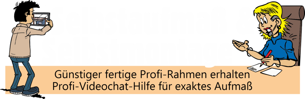 Insektenschutz Preise Beratung Selbstmontage Comic