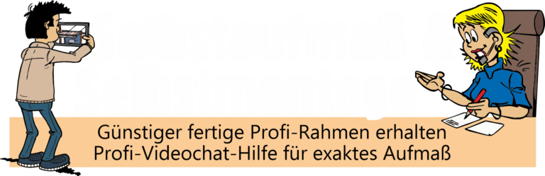 Insektenschutz Preise Beratung Selbstmontage Comic