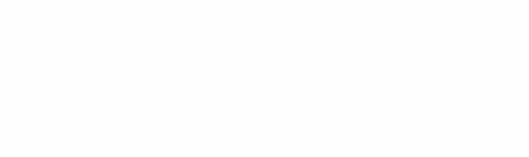 Insektenschutz Preise Beratung Selbstmontage Text