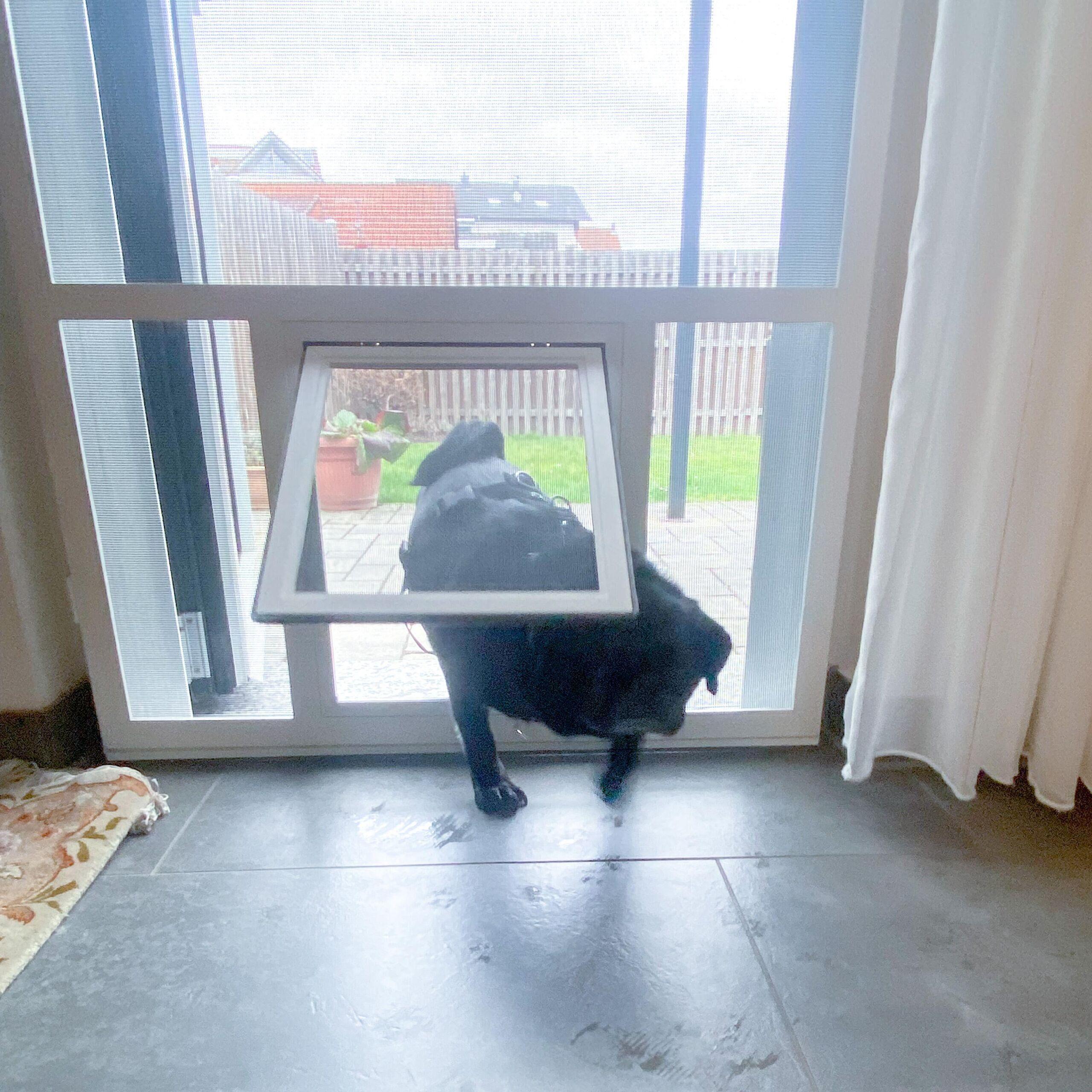 Insektenschutz mit Hundeklappe, Referenz Jossgrund